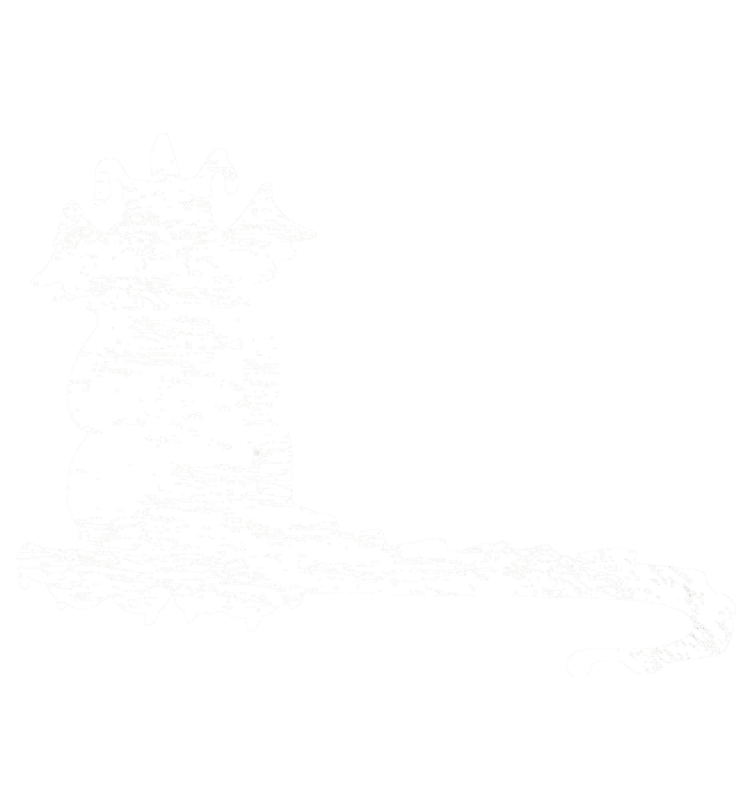 Home Avoca Elementary School